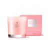 Molton Brown Delicious Rhubarb and Rose Candela box Molton Brown Delicious Rhubarb and Rose Candela box